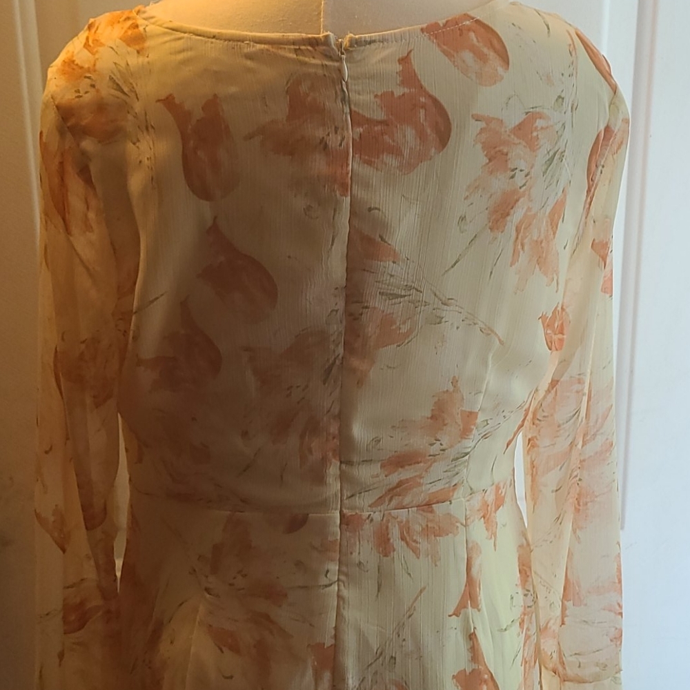 Spring Dress - Picture 5 of 5